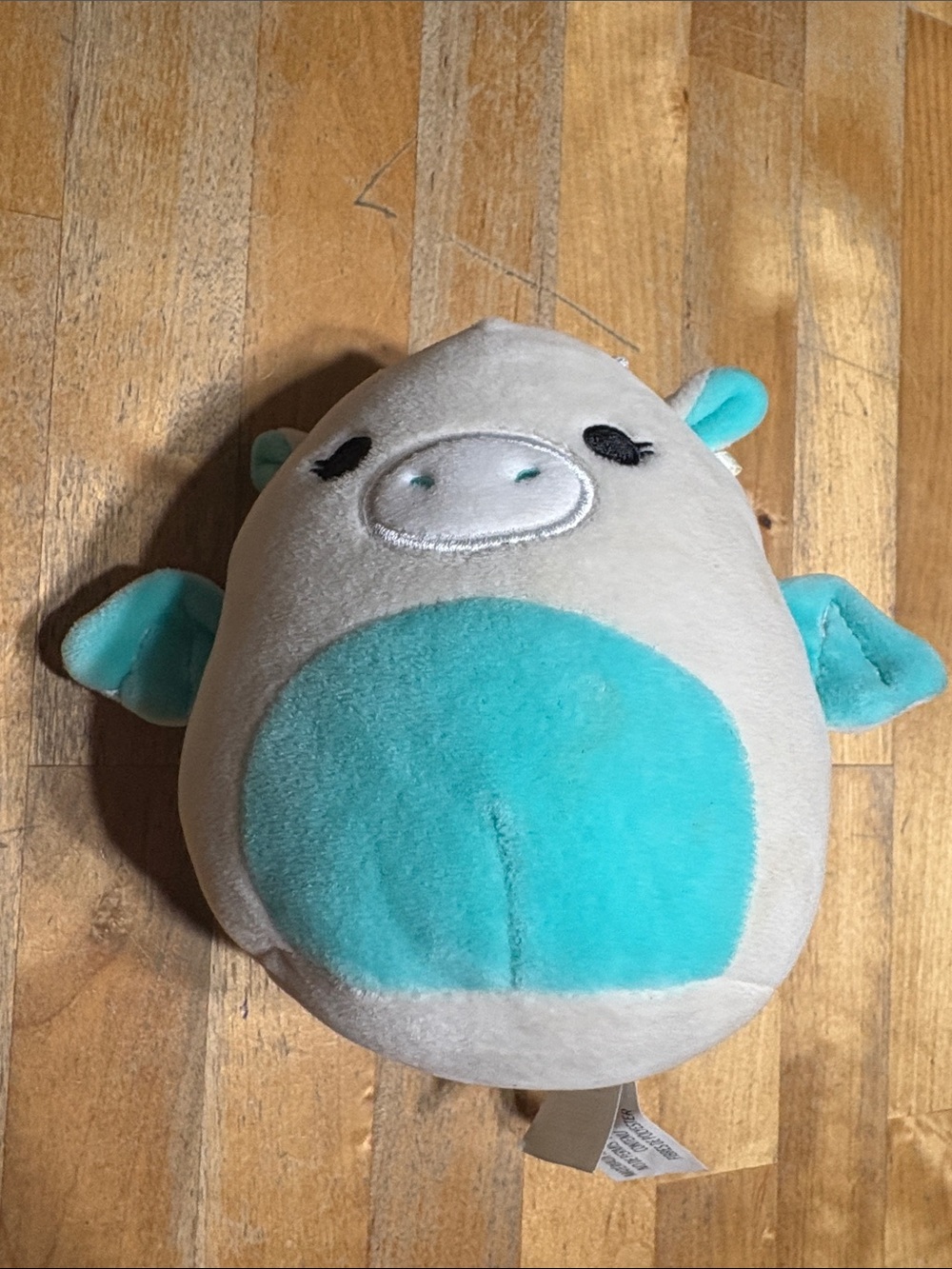 Squishmallow 5” Coley the Dragon